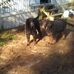 Keith Ostrander - Facebook