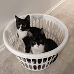 Keith & Otis - @keithandotis - Instagram