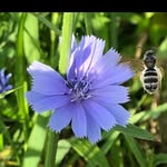 Keith Packard - @kriplostalot - Instagram