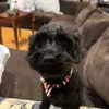 keithspam1 - @keithspam1 - TikTok