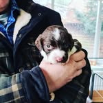 Keith Passey - @keithpassey - Instagram