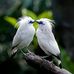 Keith Peter - Facebook