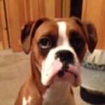Keith Pine - @tukpine - Instagram
