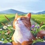 Hoàng Giang - @keithpitman2021 - Instagram