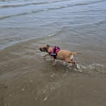 Keith Plumb - @gingerbeard_1509 - Instagram