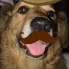 Keith Plumb 24 - @keithplumb24__ - TikTok