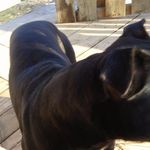 Prentice keith - @prenticekeith3296 - Instagram