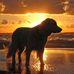 Mace Keith Pulliam - Facebook