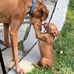 Keith Putman - Facebook
