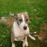 Keith Queen - @keith7580 - Instagram