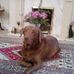 Keith Raynor - Facebook