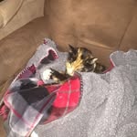 Keith Reich - @keithreich - Instagram