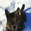 keithr4u - @keithreich18 - TikTok