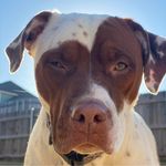 Keith Reimer - @keithrokc - Instagram