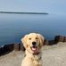 Keith Renaud - Facebook