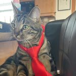 Keith Renaud - @keith.renaud.39 - Instagram