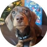 Keith Richmond - @keith_richmond_the_sausage - Instagram
