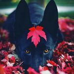Keith Ritter - @tacoman1128 - Instagram