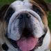 Keith Rolston - Facebook