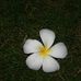 Keith Romer - Facebook