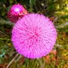 Keith_Rooney - @Keith_Rooney - TikTok