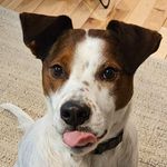 Keith Rooney - @xterra_rooney - Instagram