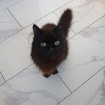 Keith Rooney - @keith.rooney.50159 - Instagram