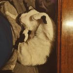 Keith Roper - @keith.roper.54 - Instagram