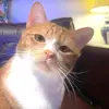 Keith Rosales - @keith.rosales4 - TikTok