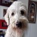 Keith Rosenbaum - Facebook