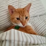 Keith Rudd - @standlywayne800 - Instagram