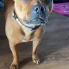 Keith Rudd - @keith.rudd0 - TikTok