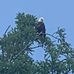 Keith Ruetten - Facebook