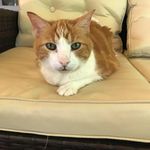 Keith Rylands - @keithrylands - Instagram