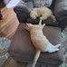 Keith Sailer - Facebook