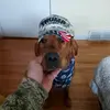 keithsamson868 - @keithsamson868 - TikTok
