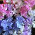 Keith Sandall - Facebook