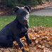 Keith Schaal - Facebook