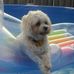 Keith Schenk - Facebook