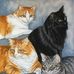 Keith Schepers - Facebook