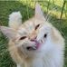 Keith Schepers - Facebook