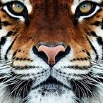 Keith Schroyer - @keithschroyer - Instagram