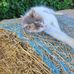 Keith Schuman - Facebook