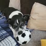 Keith w schwab - @keithwschwab - Instagram