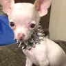keith schwall - @keithschwall01 - TikTok