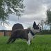 Keith Schweitzer - Facebook