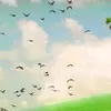 keith.bro - @keith.bro - TikTok