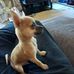 Keith Sechler - Facebook