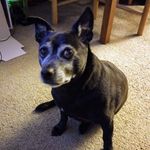 Keith Sechrist - @partbearpartmachine - Instagram