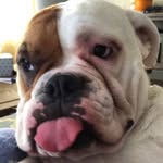@keithseize - Instagram